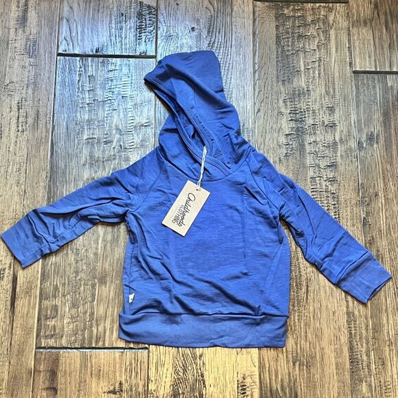 NWT Childhoods Slub Trademark Hoodie Ink Blue 2T - Picture 2 of 5